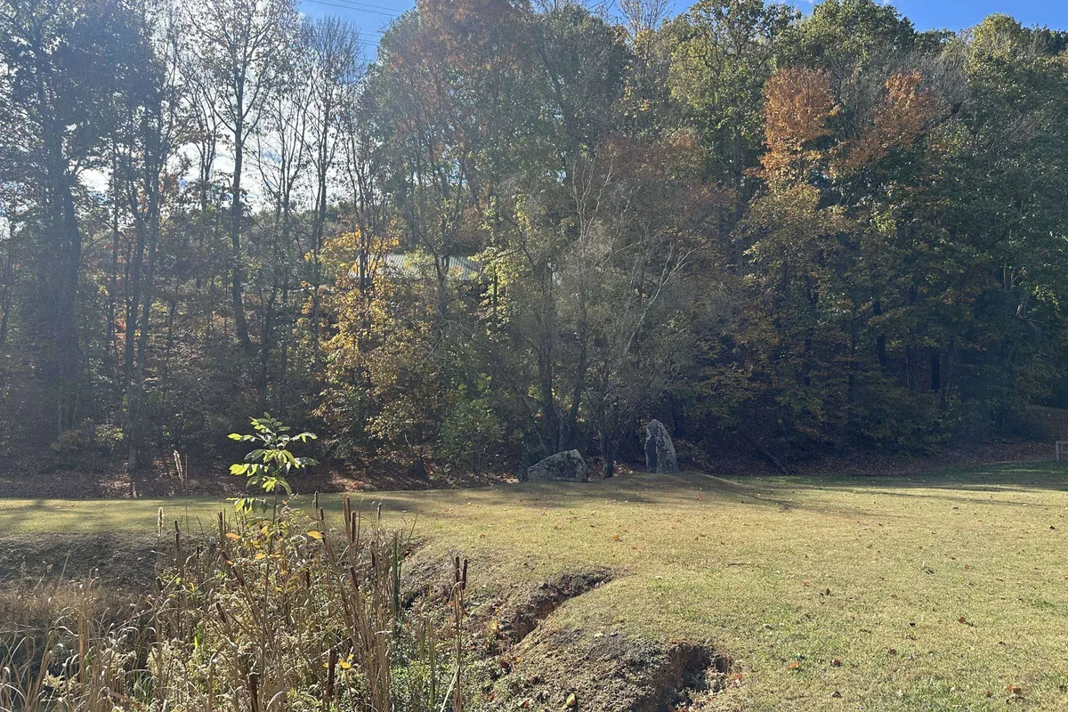 A vibrant display of colorful autumn foliage surrounds a grassy area with large rocks, creating an inviting natural landscape. The image hints at opportunities for nature walks, picnics, and wildlife observation, especially during fall.