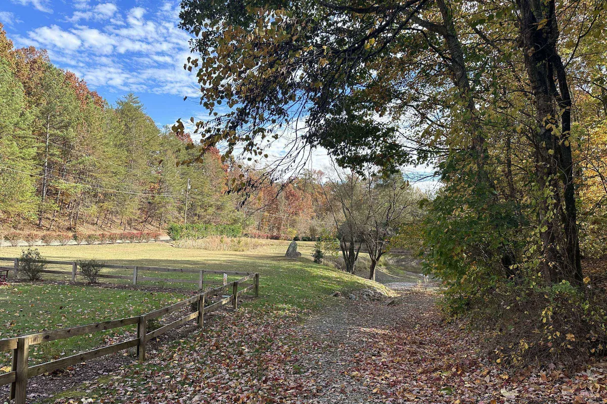 This image shows a tranquil outdoor pathway lined with trees, leading toward a fenced area with a distant landscape view. The fallen autumn leaves and sunlight filtering through the branches create an inviting scene perfect for leisurely walks and nature observation.